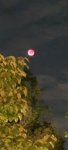 20250907_205013.jpg