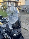 IMG_2675.jpeg
