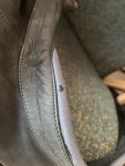IMG_6463.jpeg