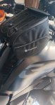 IMG_6019.jpeg