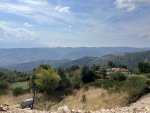 IMG_4938.jpeg