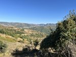 IMG_4953.jpeg