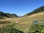 IMG_4992.jpeg