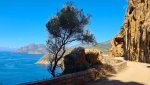 06 Calanches de Piana.jpg