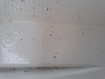 20250824_162522.jpg