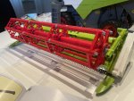 IMG_6037.JPEG