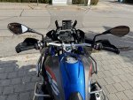 IMG_3100.jpeg
