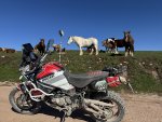 IMG_2623.jpeg