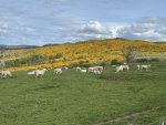 IMG_1371.jpeg