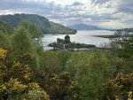 IMG_0962.jpeg