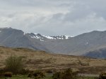 IMG_0916.jpeg