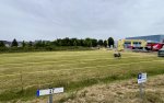 IMG_8984.jpeg