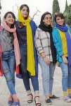 IMG_4133.jpeg