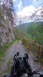 IMG_20260608_150553_079.jpg