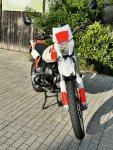 IMG_7327.JPEG
