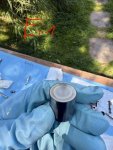 IMG_7808.jpeg