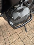 IMG_9555.jpeg