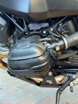 IMG_2845.jpeg