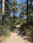 IMG_3228.jpeg