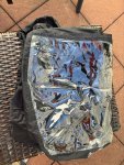 IMG_2483.jpeg