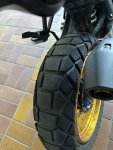 IMG_1234.jpeg