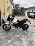 IMG_9926.jpeg