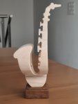 20260424_095545.jpg
