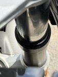 IMG_3286.jpeg