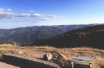 IMG_4769.jpeg