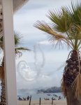 IMG_1015.jpeg