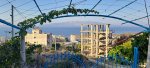 20260911_074802-gmp.jpg