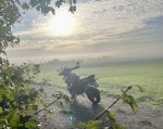 IMG_4336.jpeg