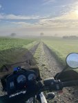 IMG_4343.jpeg