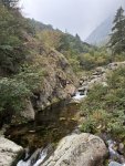 IMG_1440.jpeg