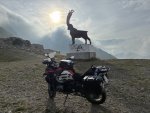 IMG_1444.jpeg