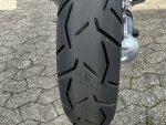 IMG_3250.jpeg
