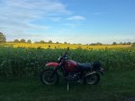 IMG_9529.jpeg