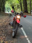 IMG_9533.jpeg