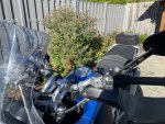 IMG_7697.jpeg