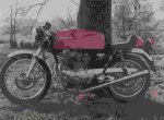 Honda250.JPG
