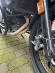 IMG_2408.jpeg
