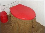 toilette.jpg