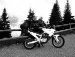 Rossfeldpanoramastrasse Juli 13.jpg