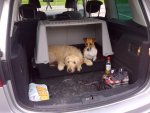 Eben am Achensee-20120528-00269.jpg