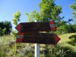 DSC02359.jpg