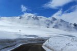 IMG_5018.jpg