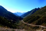IMG_1337.jpg