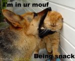 Wuff.jpg