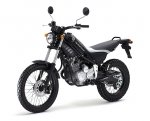 Yamaha Tricker.jpg