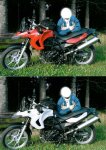 F 650 GS Twin FARBE kl.jpg